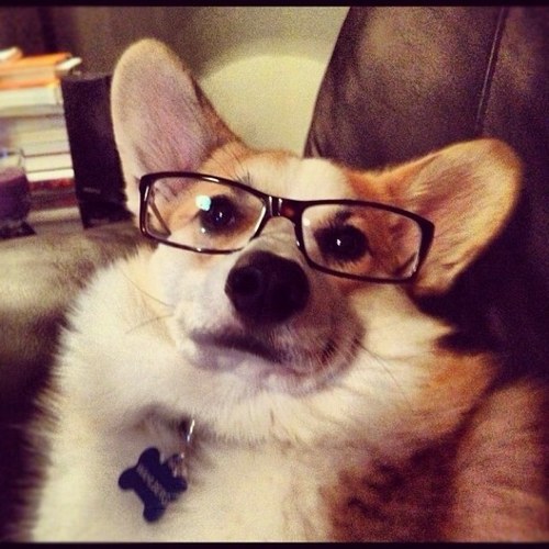 thouther_7's profile picture. うっす！