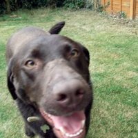 Linda cook 🇬🇧 (@linda_m_cook) 's Twitter Profile