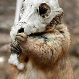 最近EFTにハマってます。