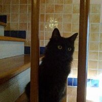 Sergey Batsanov (@sbatsanov) 's Twitter Profile