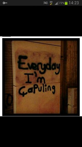 umutgercek's profile picture. 