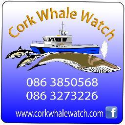 CorkWhaleWatch's profile picture. See whales, dolphins and other marine wildlife off the coast of Co. Cork Ireland with Ireland's most experienced whale watch skipper Colin Barnes!