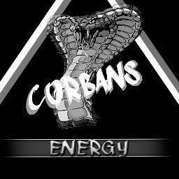 gamingmonst3r's profile picture. Squad BO2 4vs4 PS3 de @CorbansClub Rooster: @MrHokge (C) @antoniomake @Vittoo8 @ViperCmptitive #LiingoTT
