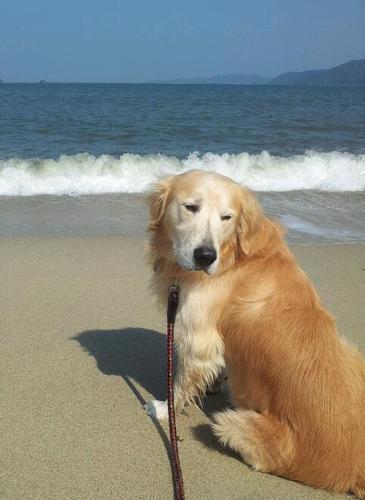 tocp8380's profile picture. 色々、作ったりする ;)