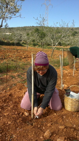 itvaap_a's profile picture. 