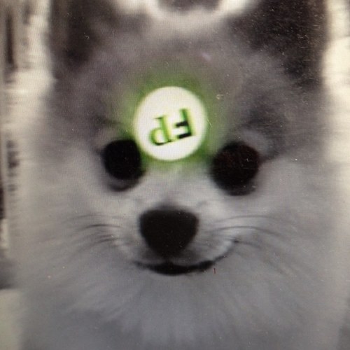 firstpersonmag's profile picture. Contemporary feelings about life and art