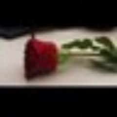 لا يَـحـتــاج الـكــلام إلـى عُـيــون تـَـقـْـرَأه ،،، بَـل إلـى قُـلــوب تـُـحِـسّ بِـه