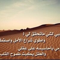 معدي بن الشاعر  (@abo_sqr1) 's Twitter Profile Photo