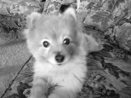 Shaynlynn's profile picture. 