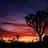 LarrySmith244's profile image
