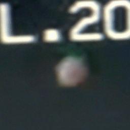 kaynine21's profile picture. love walking going on walking tours been a voluntary dog walker  love doing charity jumble sales proud mother & Nan  like Ghosts UFO True Cases  love our dog