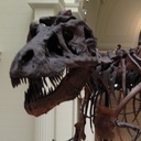 Sarah Bjork - @SarahBjork3 - Twitter