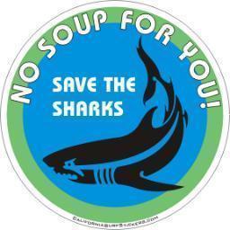 _savethesharks's profile picture. I enjoy watching sharks swim in the ocean, not in a soup! Stop shark fining now!