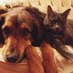 nora walcott cox (@walcottcox) Twitter profile photo nora walcott cox (@walcottcox) Twitter profile photo