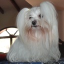 johnny pinto - @FreejohnPinto - Twitter