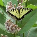 Cheryl Saunders - @saunders_cheryl - Twitter