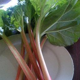 Dedicated to getting good food into good people by supporting local, sustainable farmers/producers, businesses and our community.