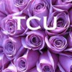 U of  Central Florida Business Incubation Program