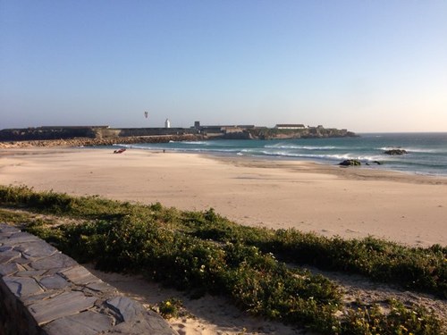 samuelpalmadiaz's profile picture. 