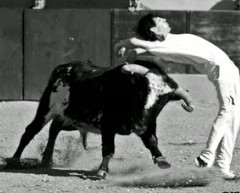 recortador de toros y el poker