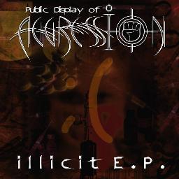 Public Display of Aggression has been 3 years in the making, hailing from Denver Colorado we are an intense intimate band who knows what a crowd wants and deli