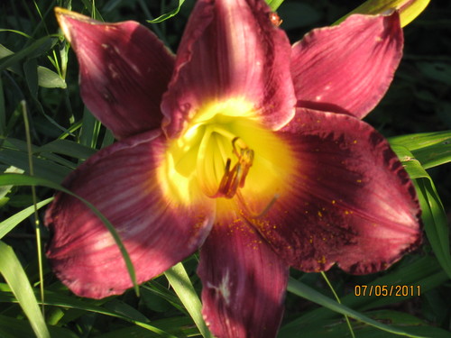 CorinaBrewer11's profile picture. 