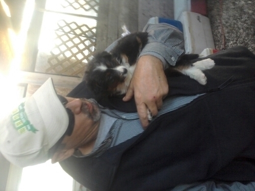 bernniejones249's profile picture. 