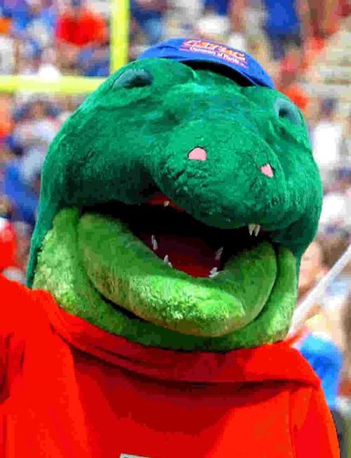 GatorNationESPN's profile picture. 
