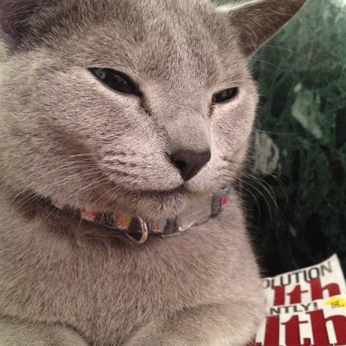 t_Zen_'s profile picture. 