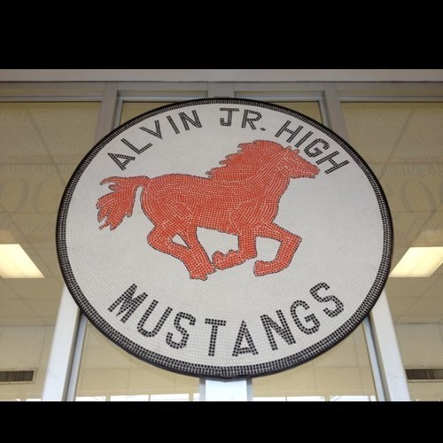 Alvin Junior High is a dynamic learning organization committed to excellence for all students and every program.