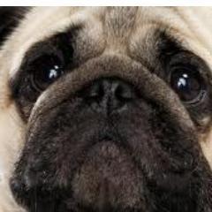 FaZeBarnay's profile picture. Welcome to my twitter (: