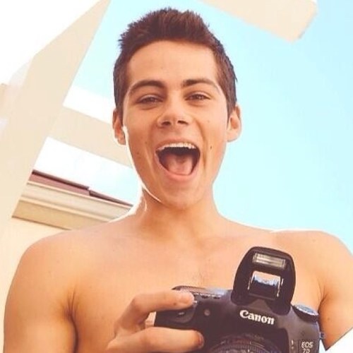 dylcnobricn's profile picture. 603.