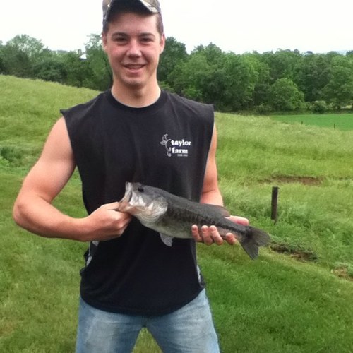 GoBuckeyes_3 Profile Picture