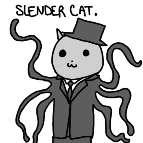 Solo soy un amante de las leyendas urbanas y soy un gato