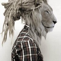 Hèct R.R. (@duxetinyjack) 's Twitter Profile Photo Hèct R.R. (@duxetinyjack) 's Twitter Profile Photo