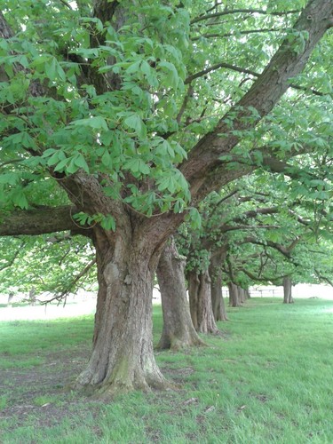 purplecow59's profile picture. 