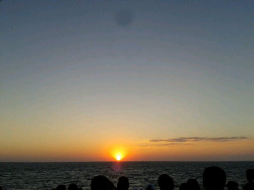 criss_og's profile picture. 