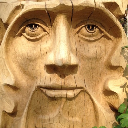 Chainsaw Wood Sculptor and I carve trees all over the UK. Private, corporate and public commissions. Regular RHS exhibitor. Follow me on Instagram - Burgers44