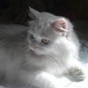 DEBORA  GRAFF MATUS - @GRAFFMATUS - Twitter