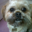 richard amey - @amey159_amey - Twitter