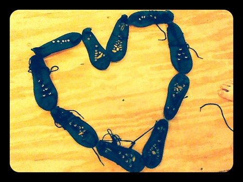 ScotDancerProbs's profile picture. Scottish Highland Dancer ✌ Currently injured; I'll be back soon ily