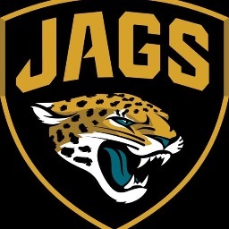 Fan of the Jacksonville Jaguars, Memphis Tigers, and common sense reforms to fight extremism/polarization