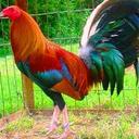  Everardo Limon - @EverardoLimonn - Twitter