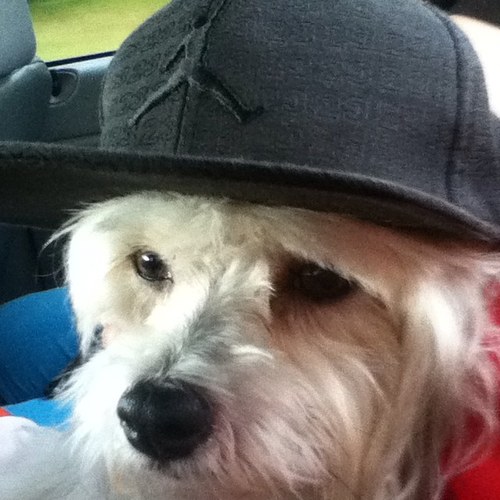 robloxhacker6's profile picture. 