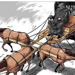 Journalist at Shorouk News
