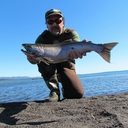 rodrigo vera  ulloa - @Pollinvera - Twitter