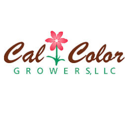 CalColorGrowers's profile picture. Cal Color is a California wholesale nursery that provides a line of Annuals, Perennials, Vegetables, Herbs, and other Premium Products.
