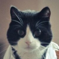 Alexander Ilyin (@creitve) 's Twitter Profile