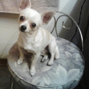 Joan Rushing - @JoanRushing4 - Twitter