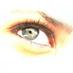 มองต่างมุมนักการเมือง (@pisanu230) Twitter profile photo